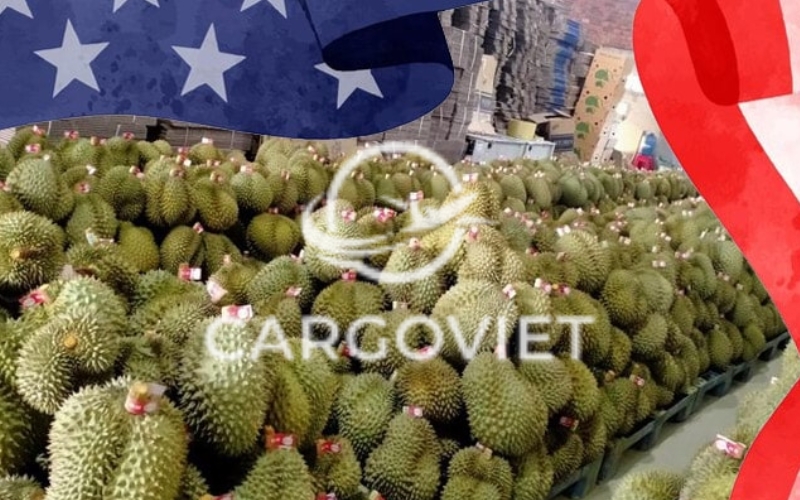 gửi trái cây đi mỹ