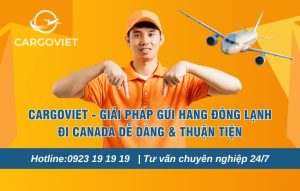 CargoViet - Giải pháp gửi hàng đông lạnh đi Canada dễ dàng & thuận tiện